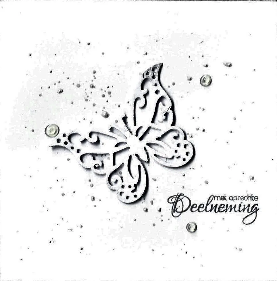 Vlinder met deelneming